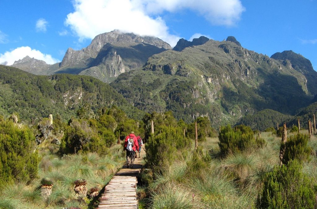 Rwenzori Mountains