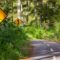 yellow and black road sign